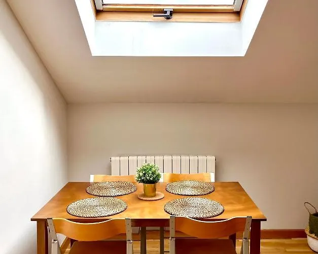 Amplio Atico Junto A La Catedral Appartement